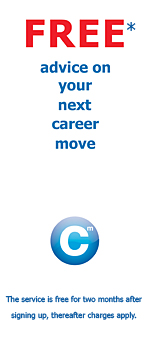 The Career Mentor - advice for your next career move graphic